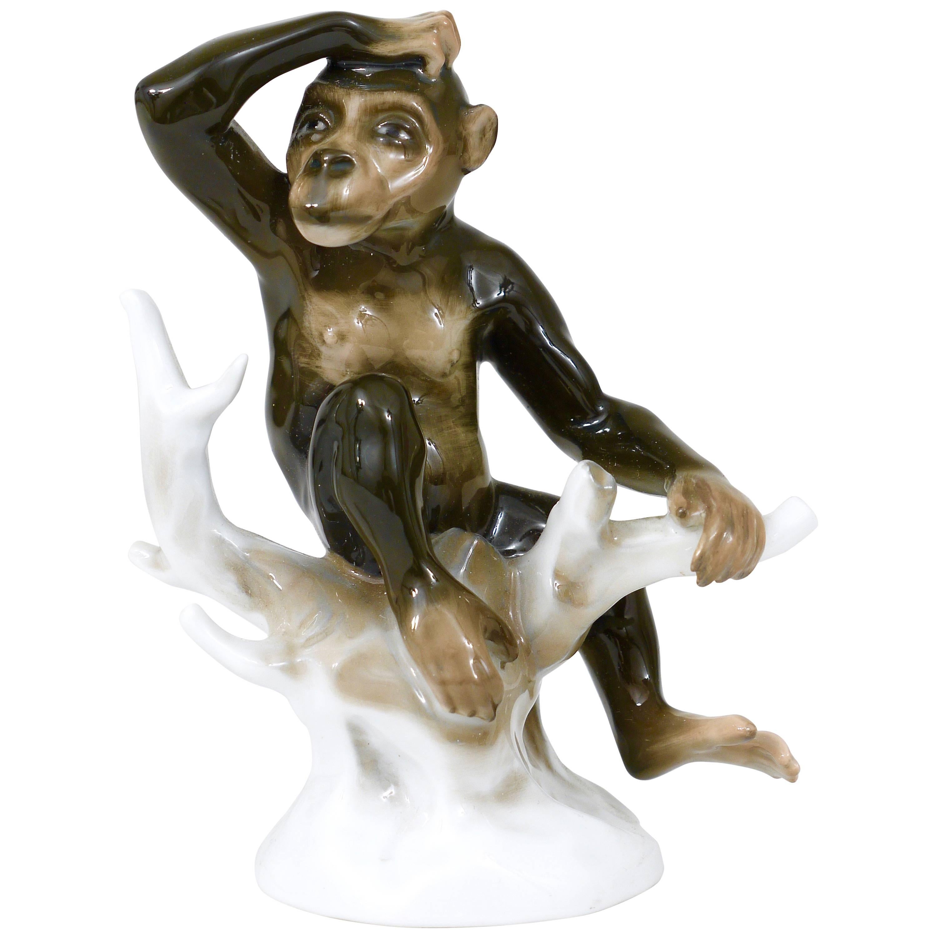 Monkey on a Branch, Porcelain Figurine by Otto Eichwald, Rosenthal, Germany