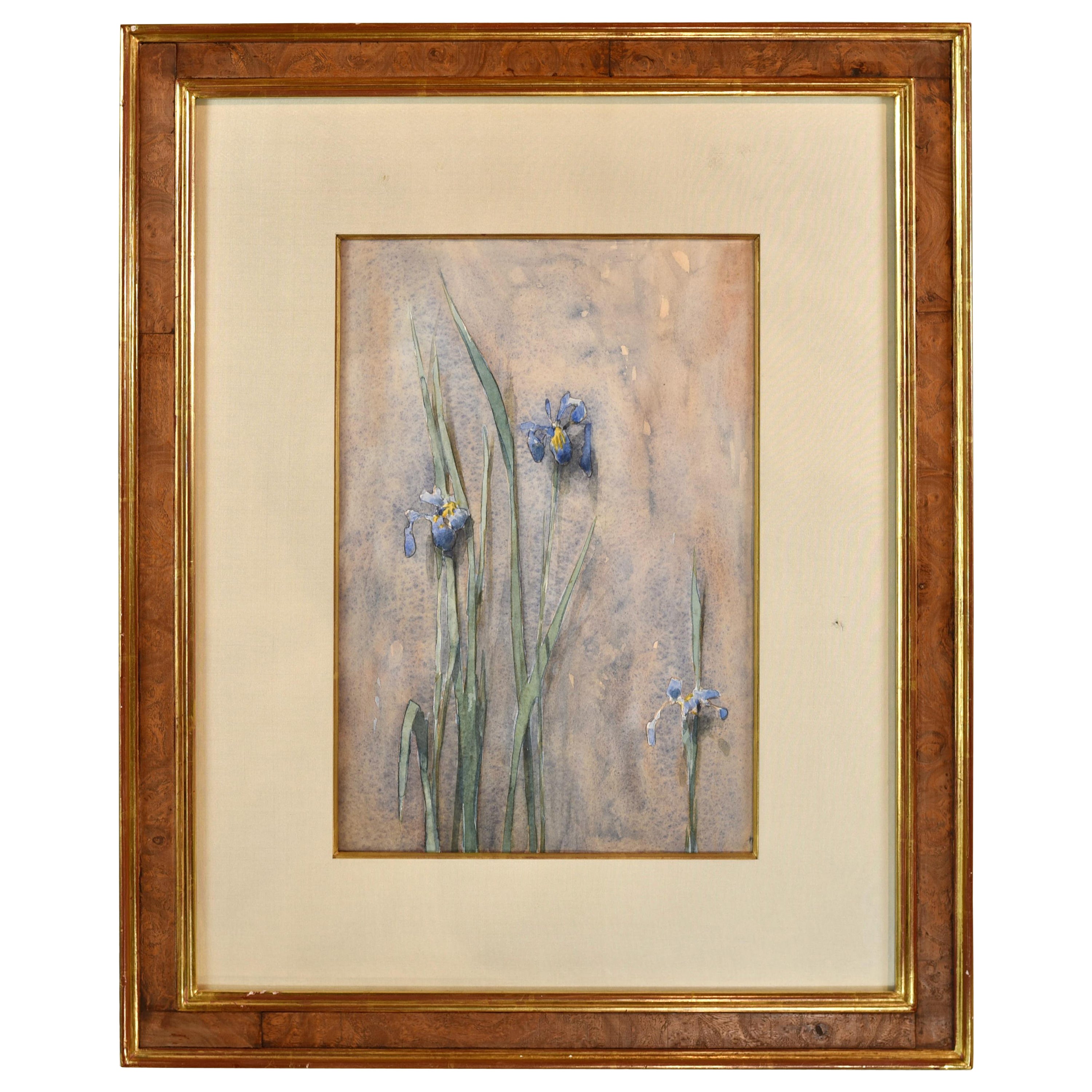 Thomas Aquinas Daly Iris Signed Watercolor For Sale