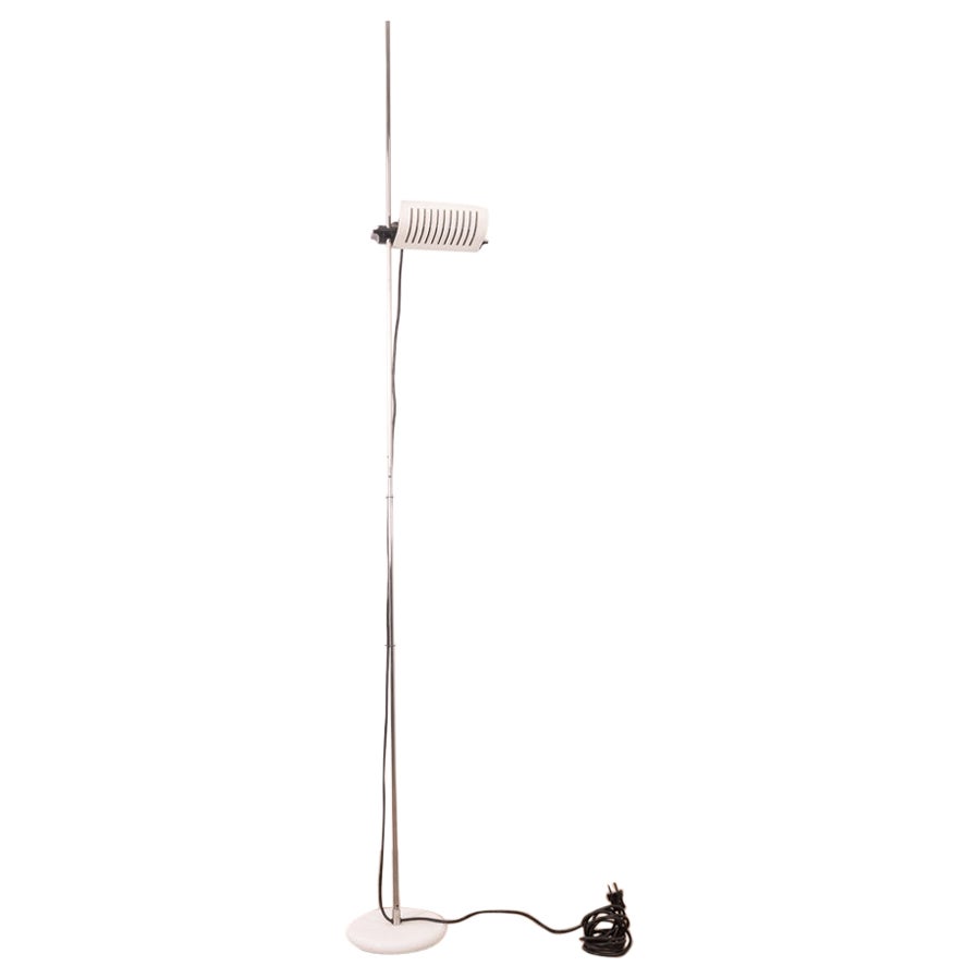 Lampade da terra in legno grezzo: design naturale e moderno