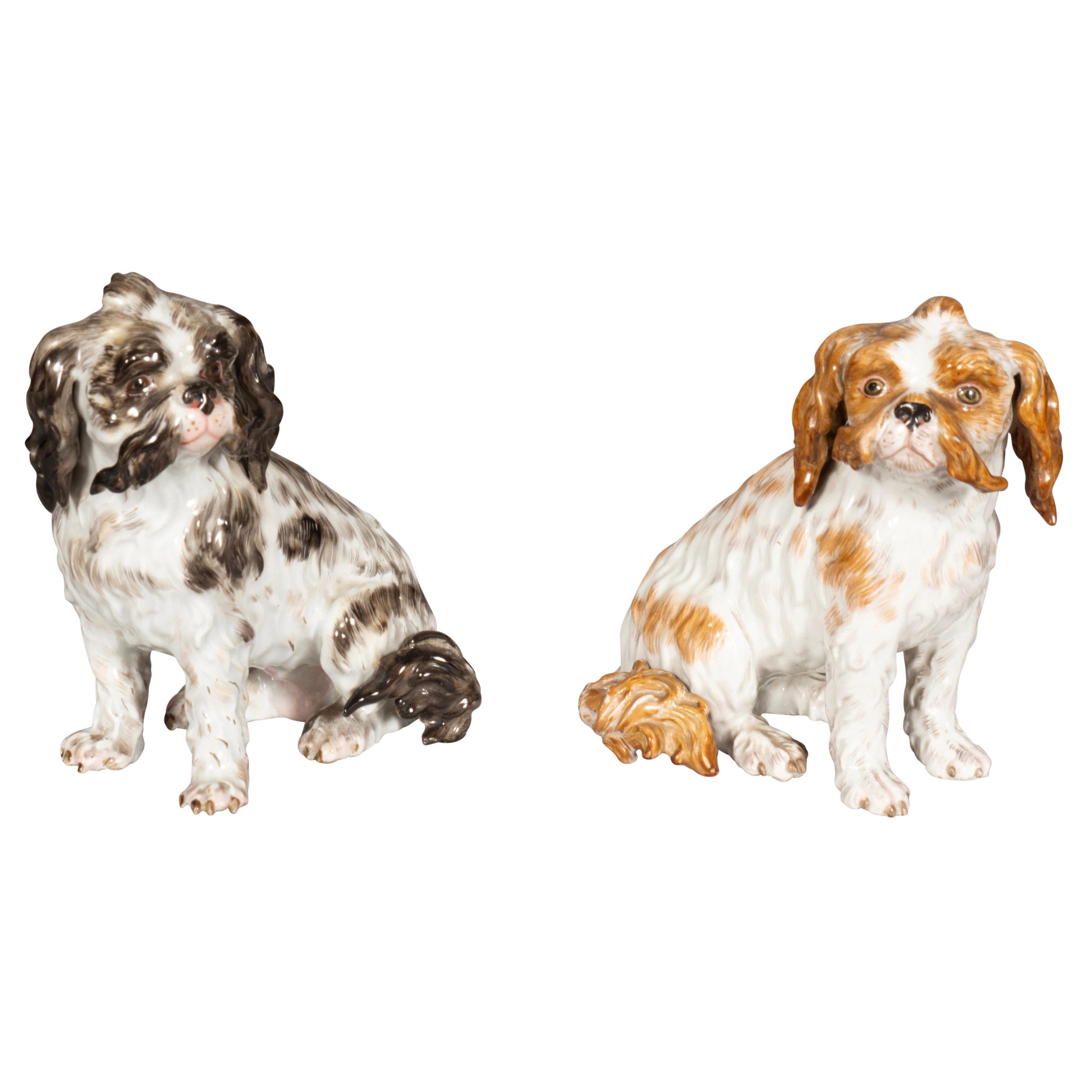 Pair Of European Porcelain Figures Of Spaniels