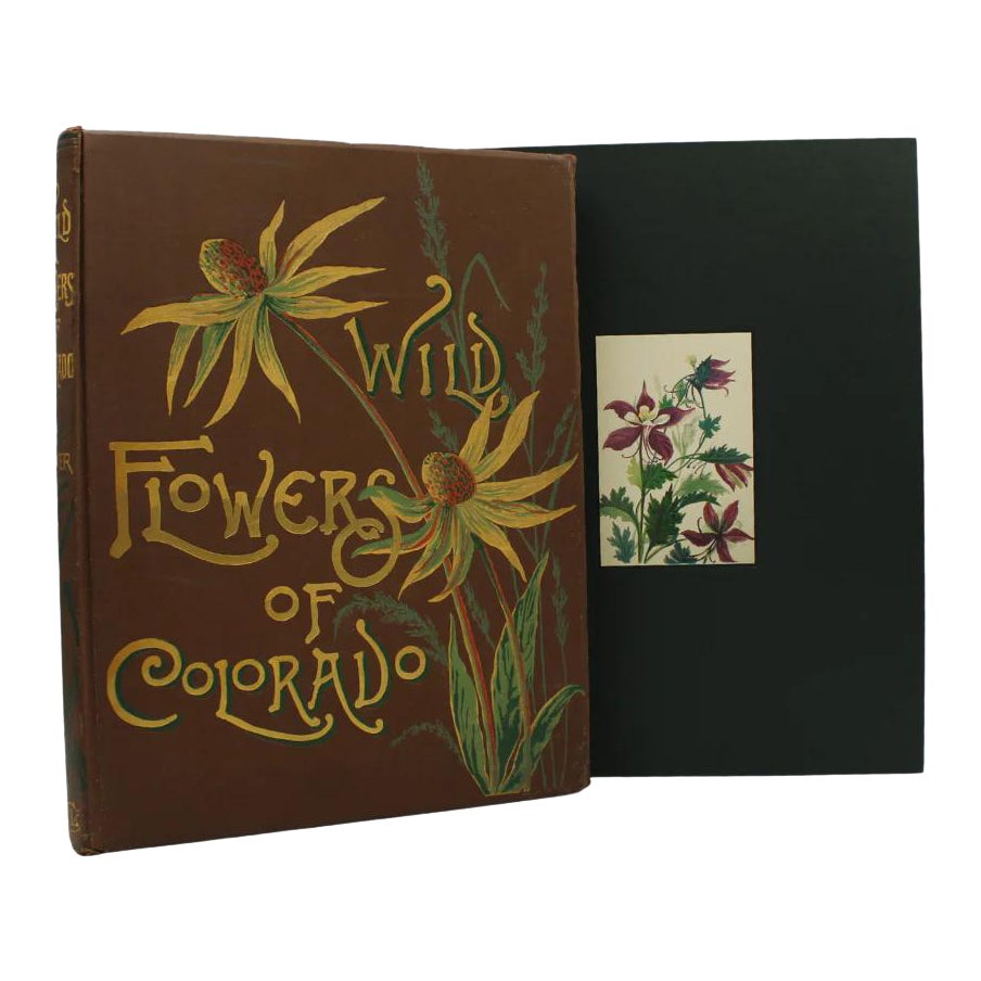 Wild Flowers of Colorado by Emma Homan Thayer, First Edition, 1885 For Sale