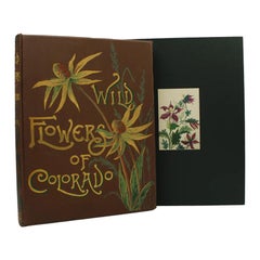 Antique Wild Flowers of Colorado by Emma Homan Thayer, First Edition, 1885