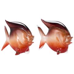 Pair of Large Polveri Fish by Archimede Seguso, circa 1950s