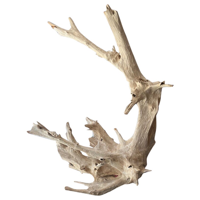 Large Modern Abstract Driftwood Sculpture For Sale