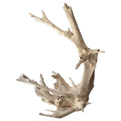 Driftwood Decorative Objects