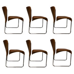 Mobel Italia Chrome Cantilever Dining Chairs in COM / COL for Stendig
