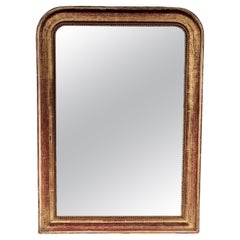 French Louis Philippe Gilt and Gesso Mirror