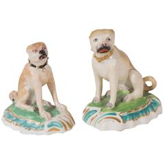 Antique Two Excellent Derby Porcelain Pugs