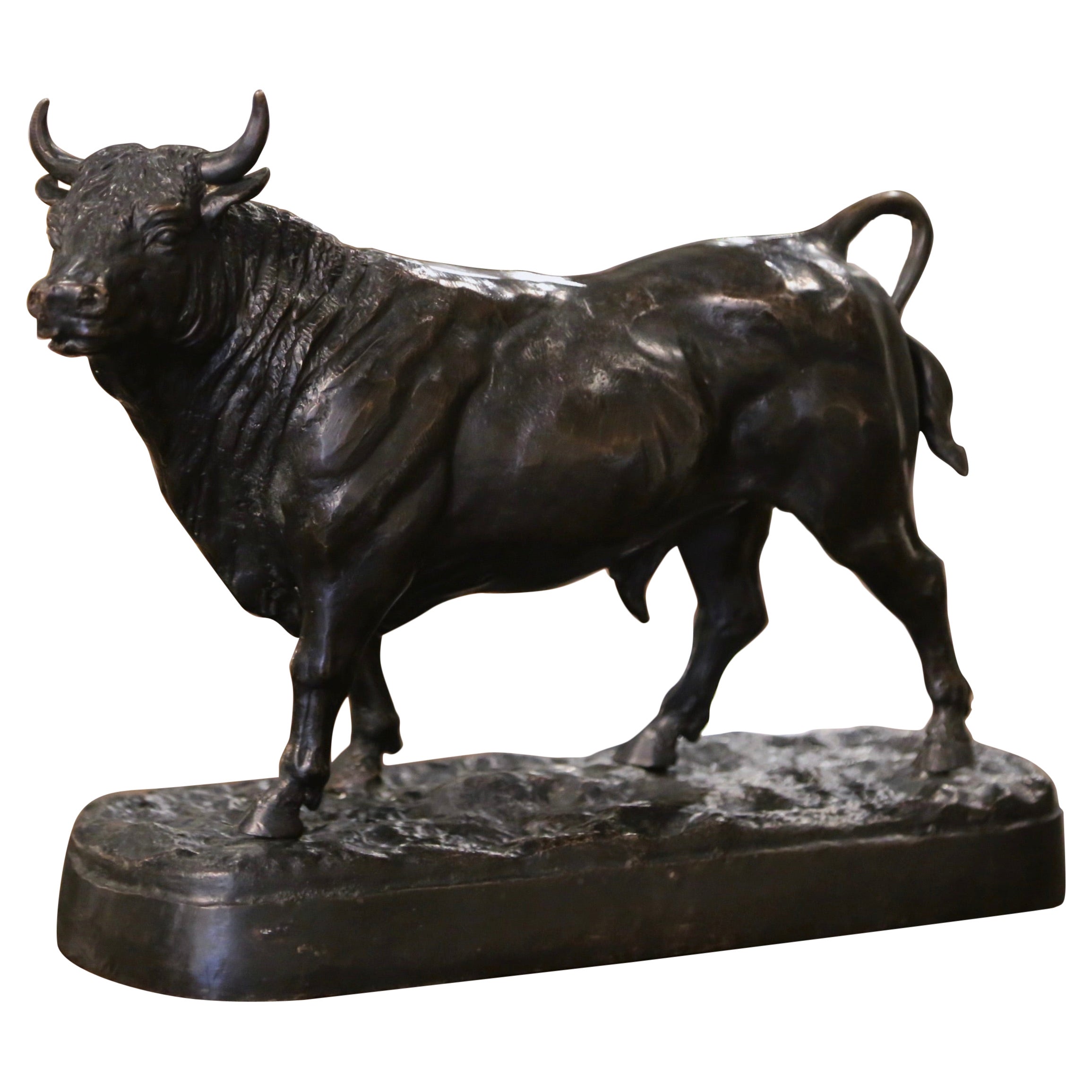 Early 20th Century French Bronze Bull Sculpture After Isidore Bonheur