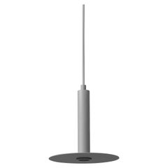 Plate Spot Grey Pendant Lamp by +kouple