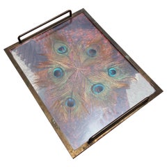 Exquisite 1930s Brass Tray with Encased Peacock Feathers
