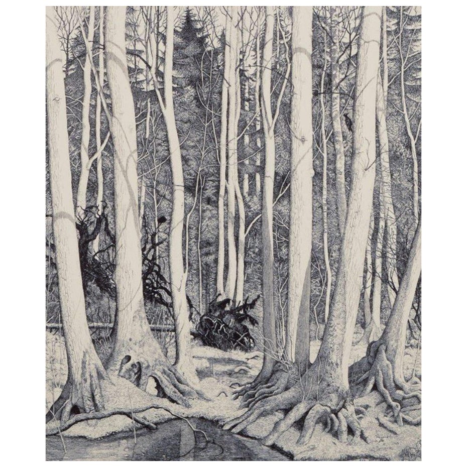 Eva Holmén-Edling, Swedish artist. Woodcut on Japan paper. Forest scene. 