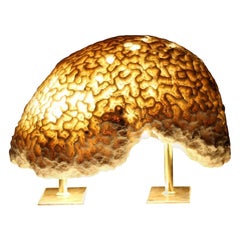 Lampe en corail fossile et corail de chaîne, fabriquée à la main et provenant de sources éthiques