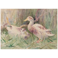 Vintage John Murray Thompson, British artist. Watercolor on paper.  Ducks