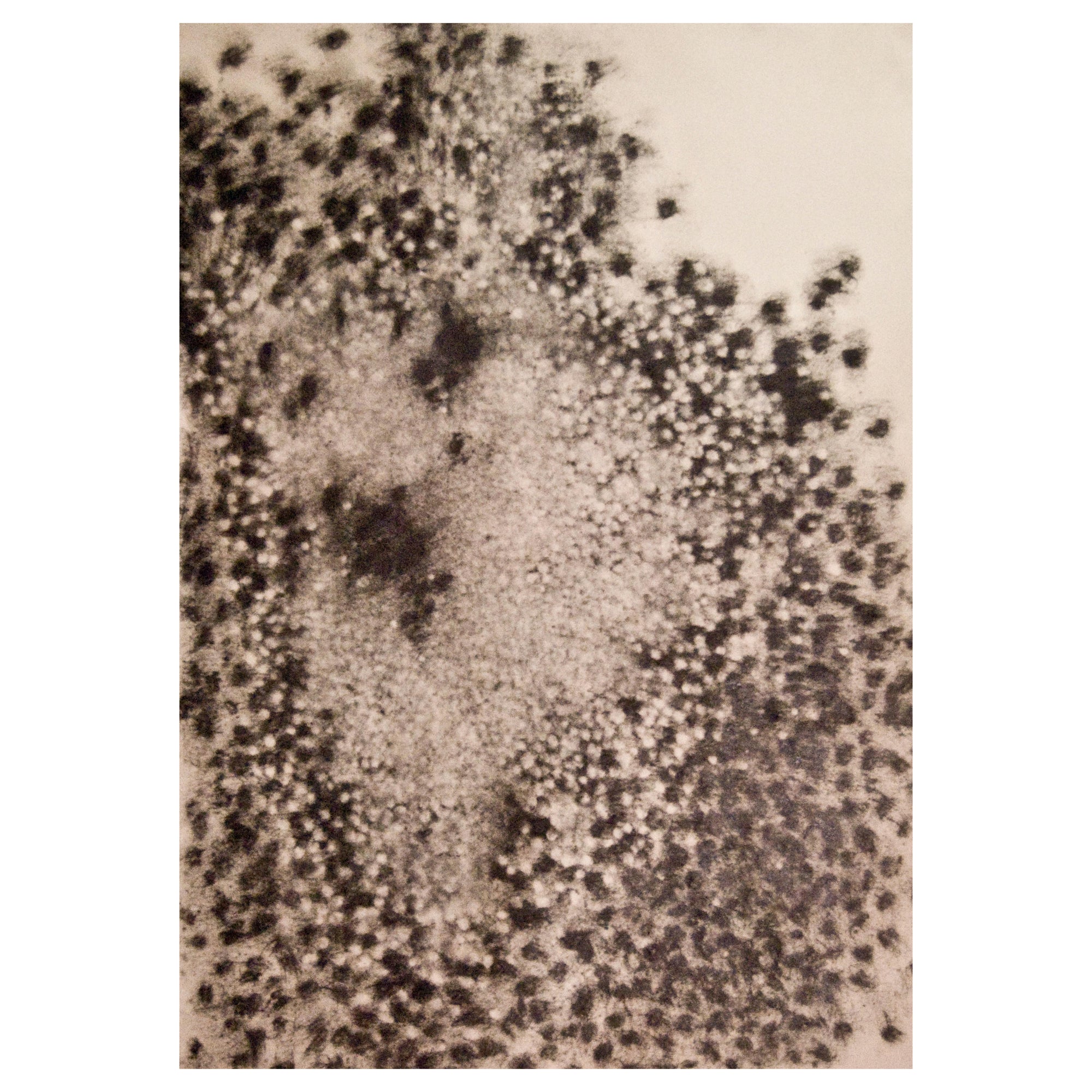 Drawing charcoal "Figure d'Etoile" Paul de Pignol, 2013