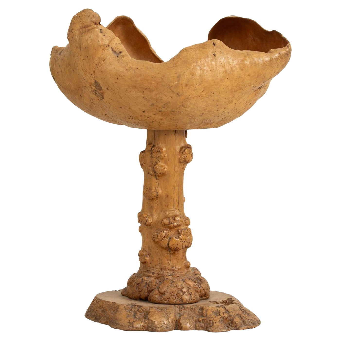Large Mid Century Swedish Birch and Pine Root Bowl Tazza on Base For Sale