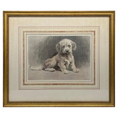 Antique Herbert Thomas Dicksee (British, 1862-1942) “Dandie Pup” Etching C. 1927