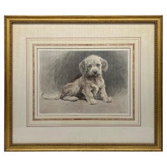 Herbert Thomas Dicksee (britannique, 1862-1942), gravure Dandie Pup, vers 1927