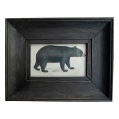 Original Antique Framed Print of a Black Bear, 1847
