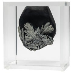Chrysantemum Stone mounted in original design acrylic base