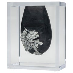 Chrysantemum Stone mounted in original design acrylic base