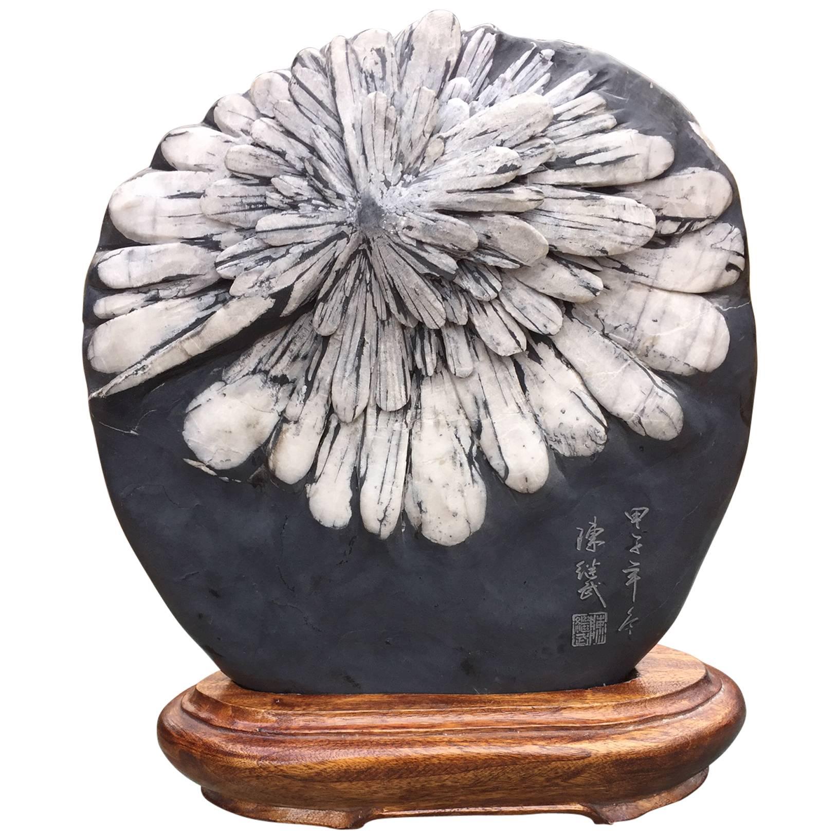 Exquisite China Chrysanthemum Viewing Stone Indoor or Garden at 1stDibs