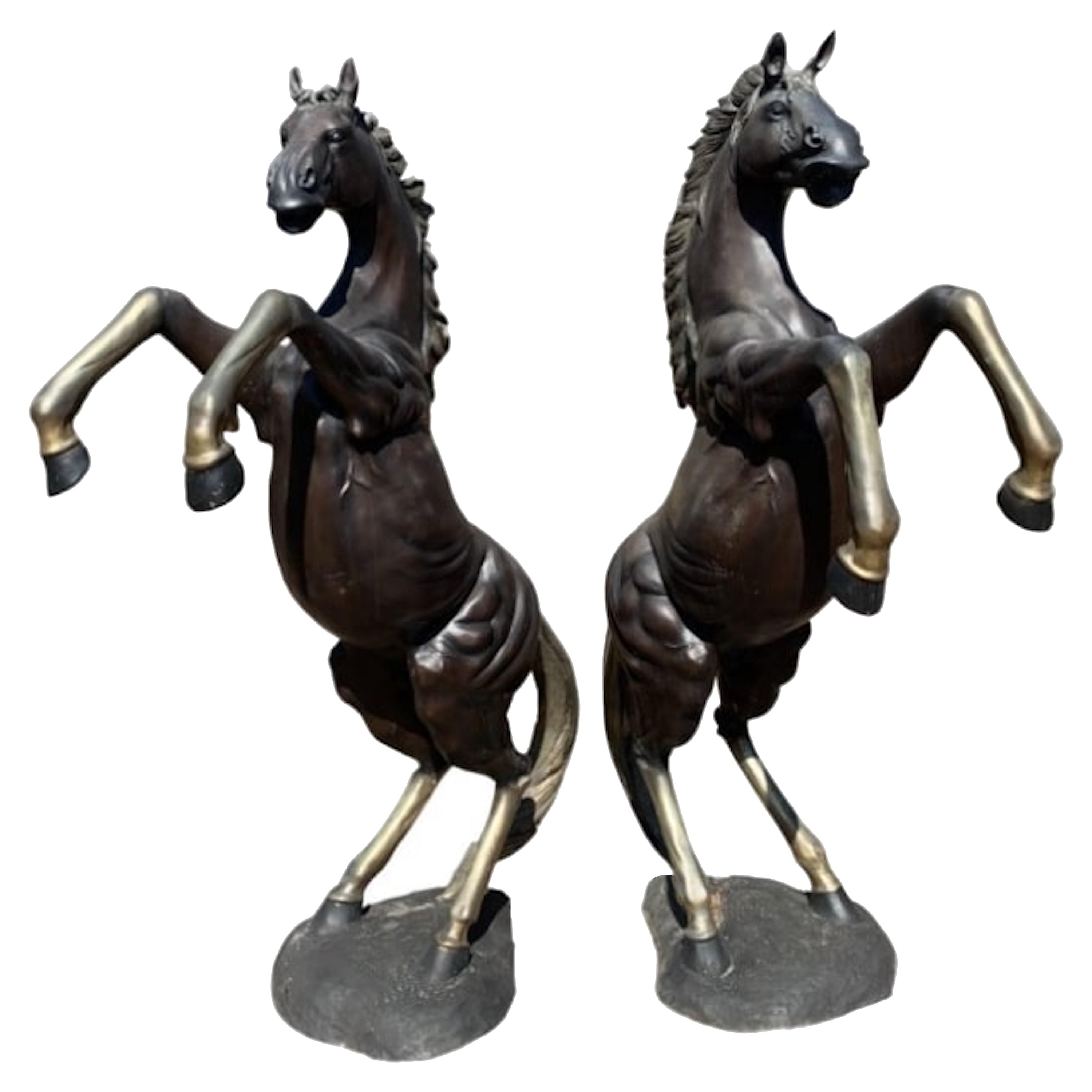 Pair of Bronze Horse Statues