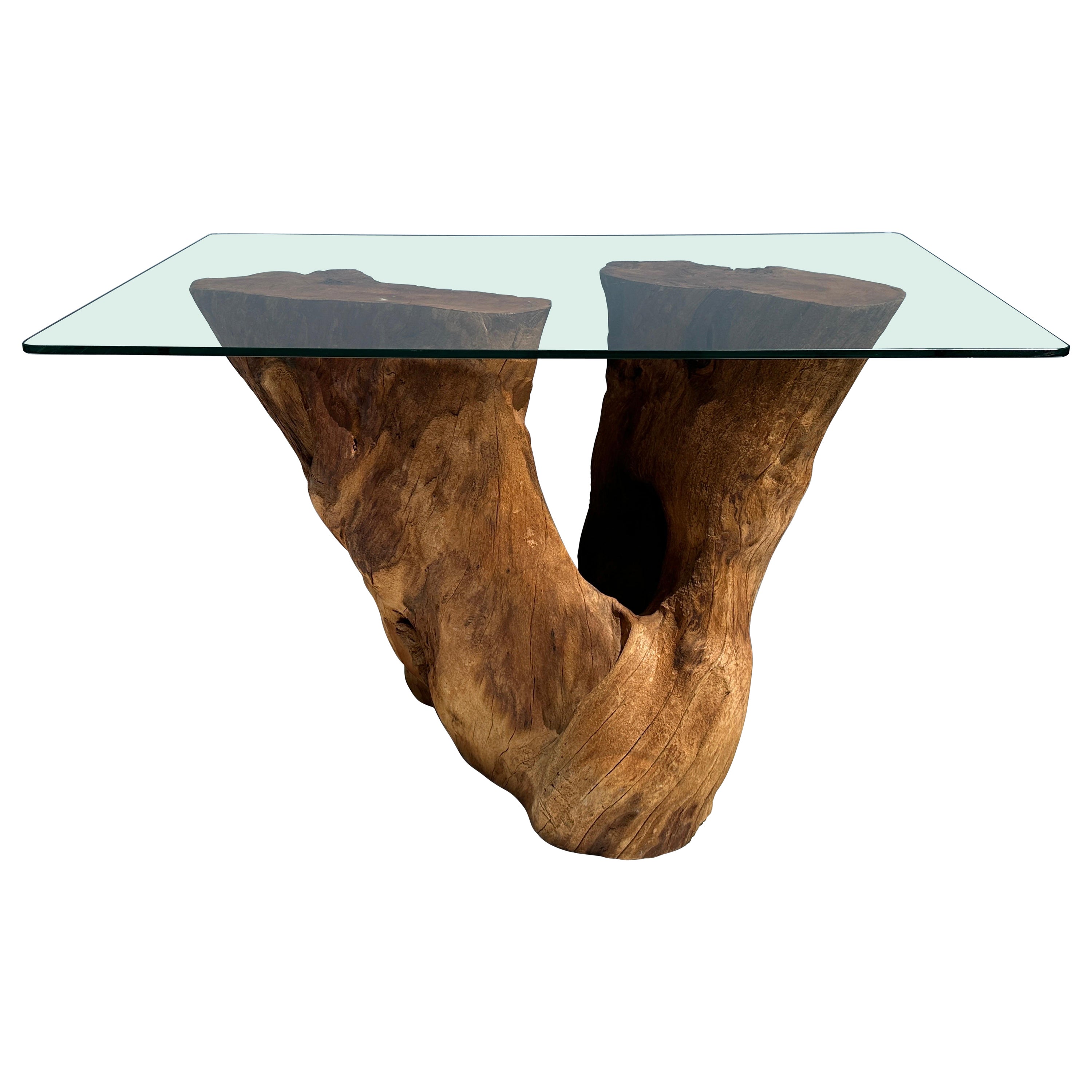 Organic Tree Trunk / Root Console Table For Sale