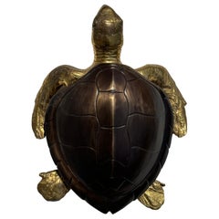 Two Tone Brass Hawksbill Turtle Box / Catch-All