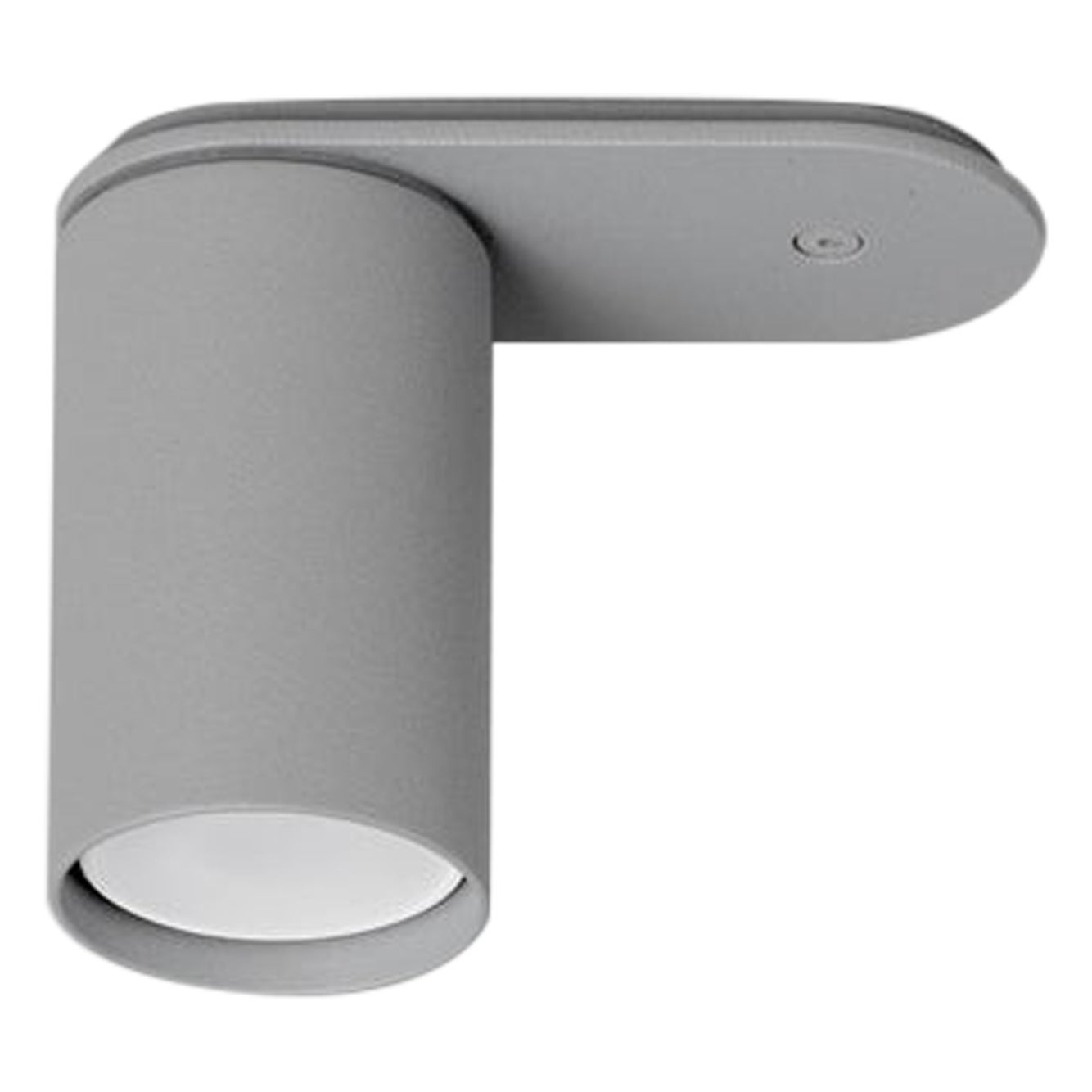 Pud Grey Ceiling Lamp by +kouple