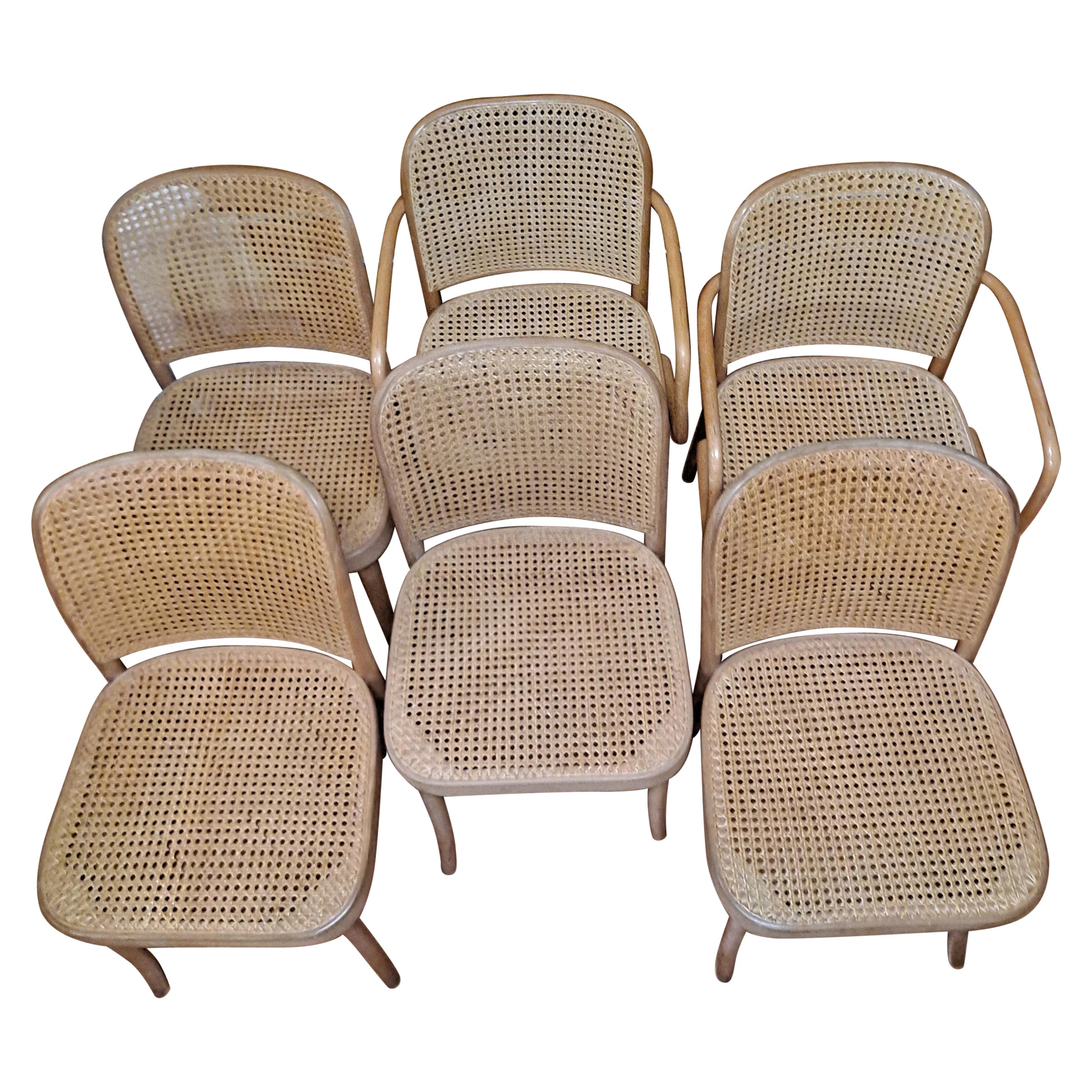 Set di 6 sedie Josef Hoffman in legno di bengala e canne