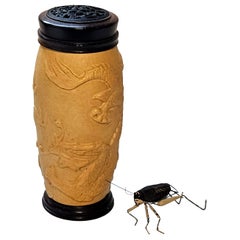 Used Chinese Carved Gourd Cricket Cage and a Modeled Cricket
