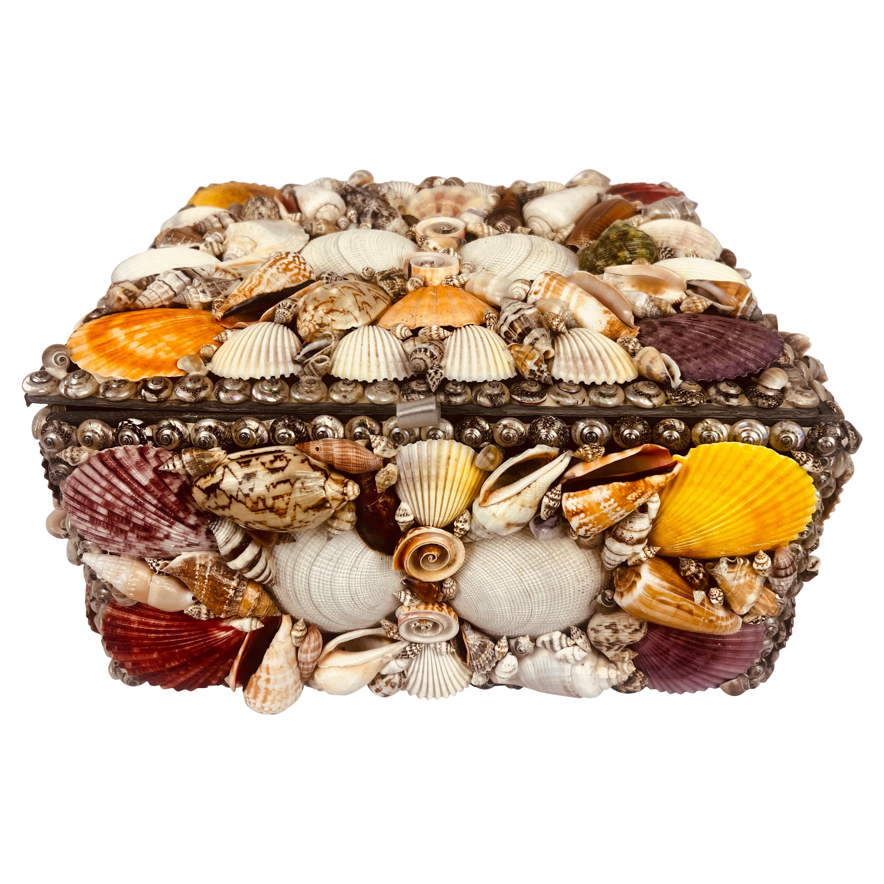 Caja grande con bisagras de conchas de mar naturales de varios colores