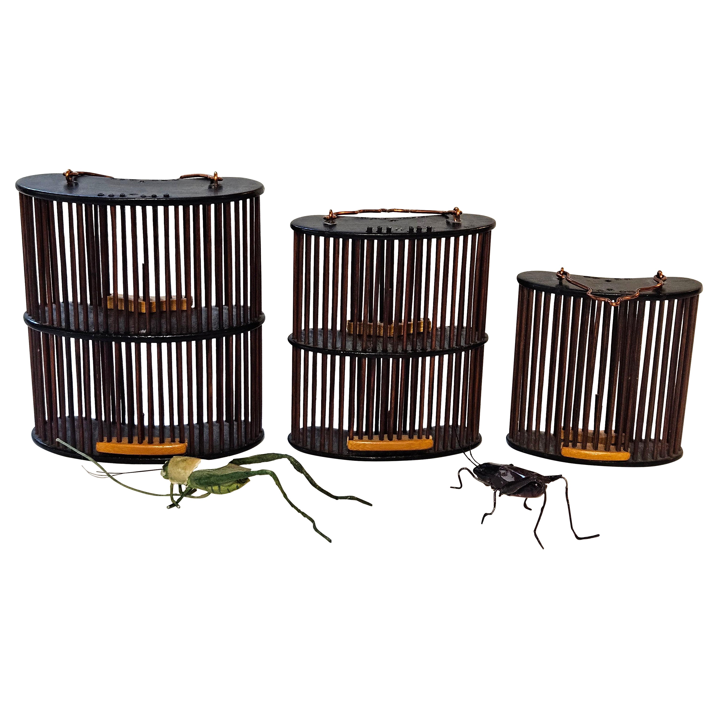 Antique 3 Chinese Bamboo Insect Cricket Cages "Curved Form" and 2 Metal Crickets For Sale
