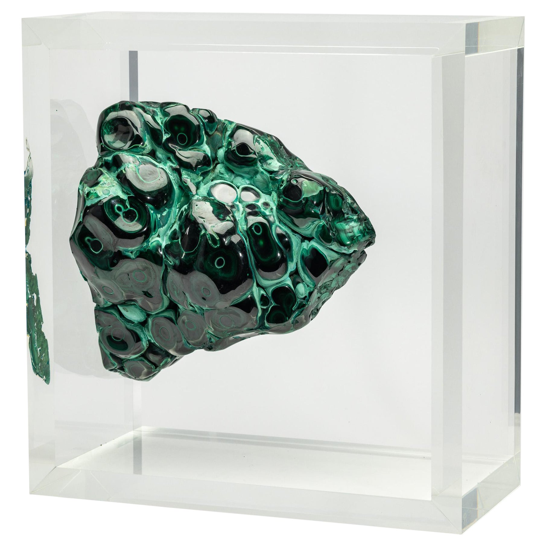 Esemplare di malachite africana a forma libera montato in un espositore in acrilico dal design originale