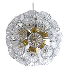 Retro Sputnik Brass and Glass Flower Dandelion Chandelier, Germany 1960