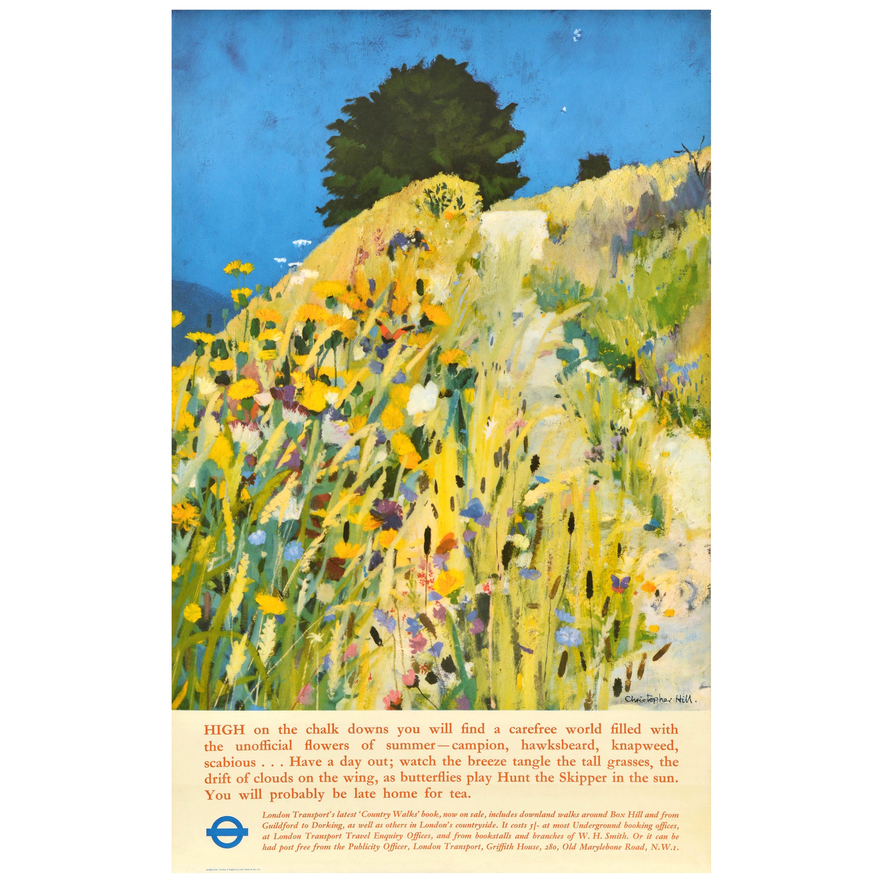 Original Vintage Travel Poster Downland Walks London Transport Country Walks UK