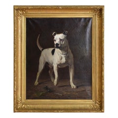 Huile sur toile du Staffordshire Bull Terrier, d'Haussy, vers 1870