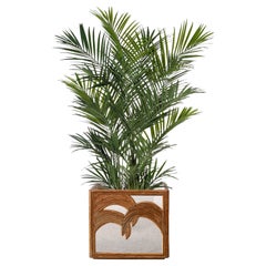 Vintage Planter With Palms With Invisible Wheels By Vivai Del Sud, 1970