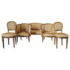 French Louis XV Living Room Set 19th Century