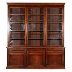 Large 19thC English Mahogany Glazed Bookcase