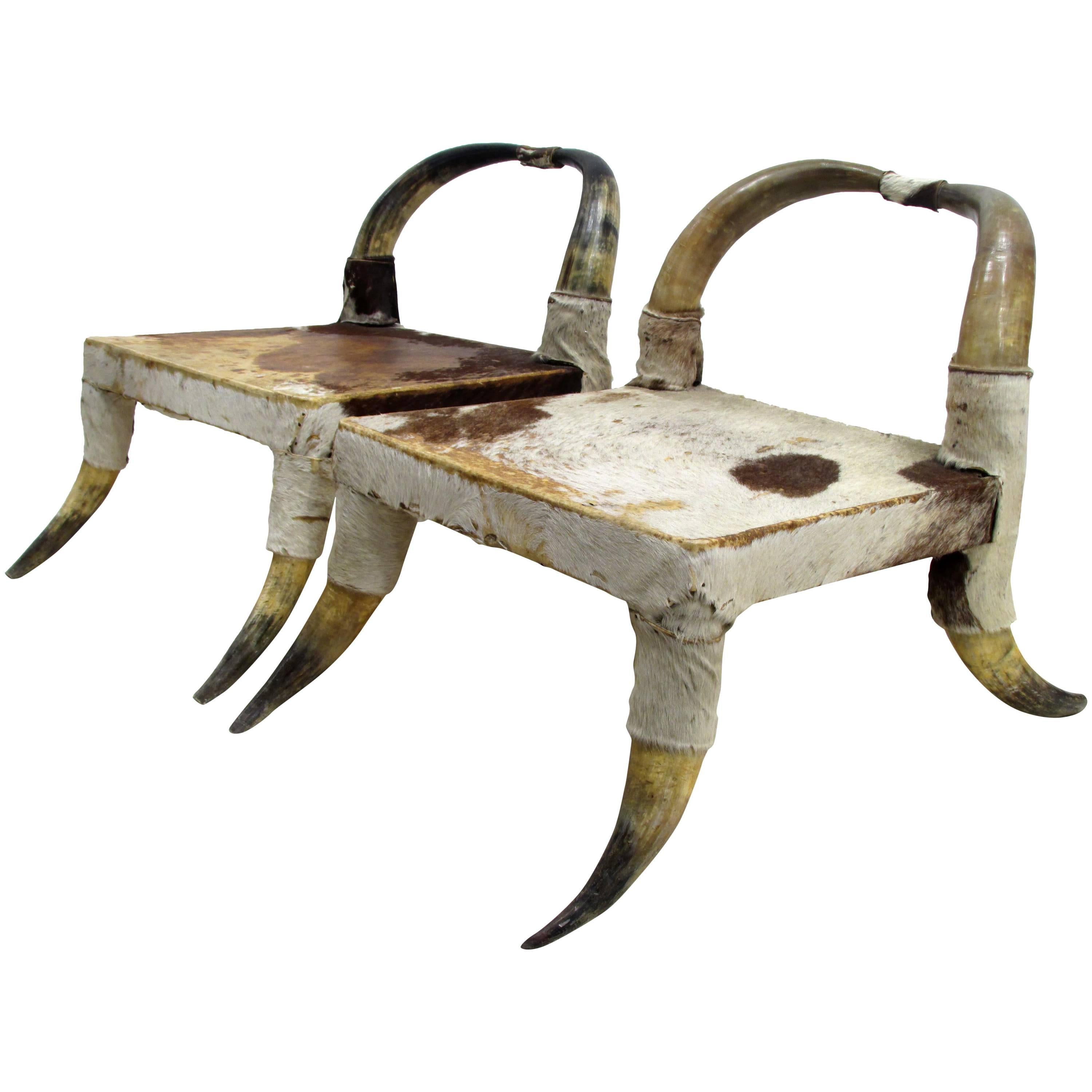 Pair of Cow Horn and Hide Low Chairs