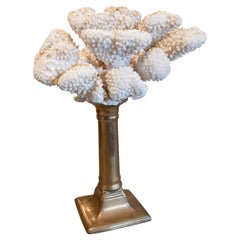 Antique Coral Assembly Sculpture with Bronze Base 