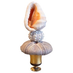 Scultura con conchiglia e base di un'antica coppa classica d'oro