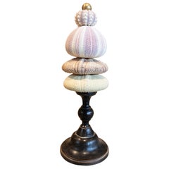 Scultura con conchiglia assemblata e base di legno