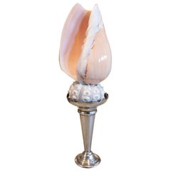 Sculpture with Seashell Assembly and Antique Silver Base
