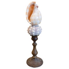 Sculpture with Seashells and Base with Antique Bronze Candelabrum