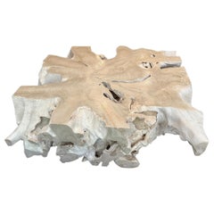 Andrianna Shamaris Monumental Bleached Teak Wood Organic Root Coffee Table