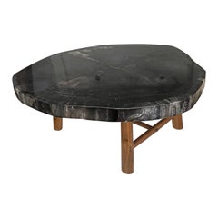 Andrianna Shamaris Mesa de centro de madera petrificada superlisa