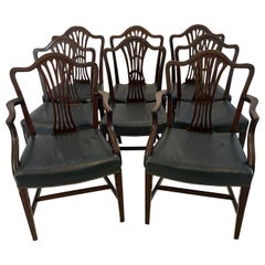 Antiguo Juego Jorge III de 8 Sillas de Comedor de Caoba de Calidad